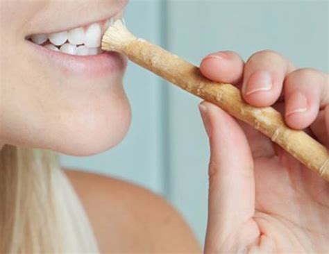 10 Benefits of Chewing Miswak - lifeberrys.com