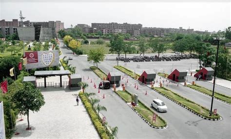 LPU CSE Average Package (INR 7.92 LPA)- Check CSE Highest Package ...