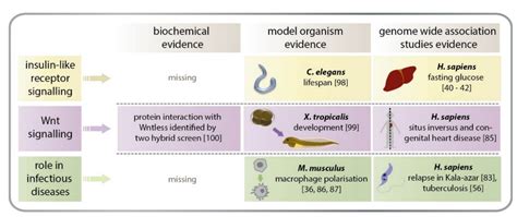 The Emerging Physiological Role of AGMO 10 Years after Its Gene ...