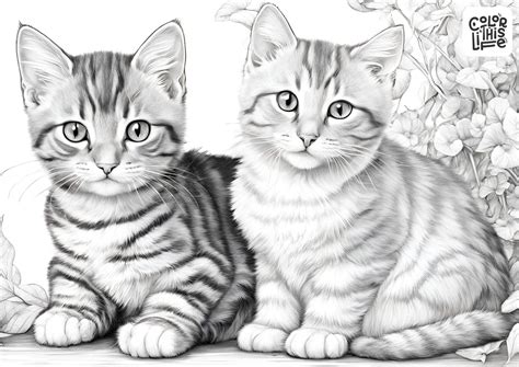 Realistic Cat Coloring Pages For Adults