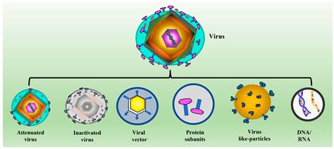 Yeast-Based Virus-like Particles as an Emerging Platform for Vaccine Development and Delivery