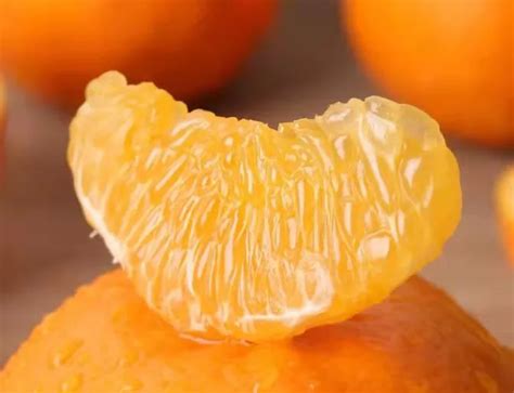 广西沃柑，柑橘界的黑马 - 知乎