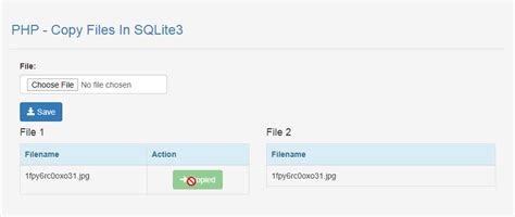 Image result for How to Copy Paste PHP Project