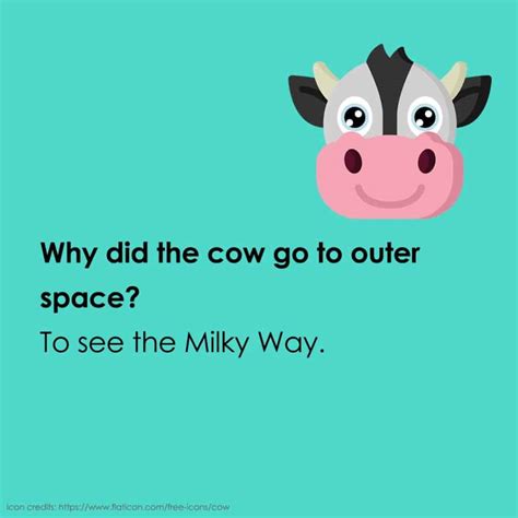 30 Zany Animal Jokes for Kids - Teaching Expertise
