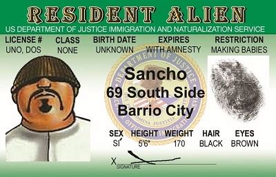 Image result for Alien ID