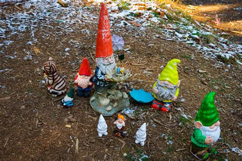 Exploring the New Gnome Trail in Maple Valley - Travelffeine