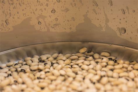 How to Quick Soak Beans - Kippi at Home