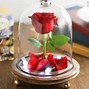 Image result for Rose Cloche