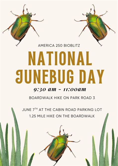 America 250 Bioblitz on National June Bug Day, 1400 State Park Road ...