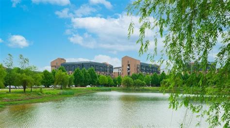 武汉大学珞珈校区第五教学楼正景图片素材-编号12018603-图行天下