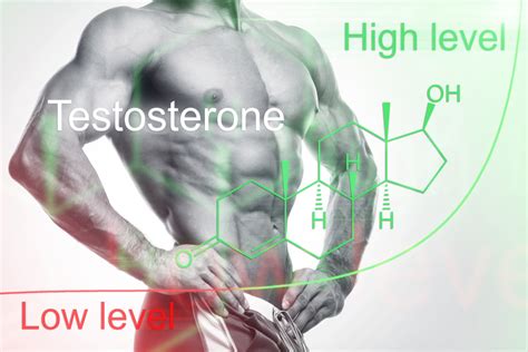 Image result for High Testosterone Levels Sign