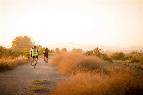 Physical Exercise 的图像结果