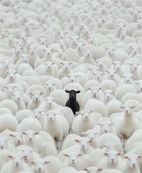 2nd Anniversary of @Saints ‘n Sinners, Jason Moyo, Harare, Zimbabwe, 13 ...