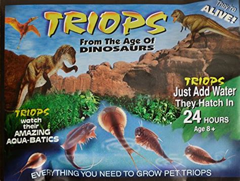 Top 3 Triops Kits of 2023 - Best Reviews Guide