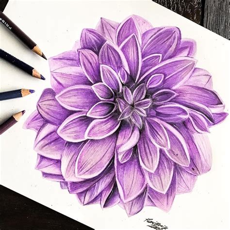 Shading Flowers With Colored Pencil : I love drawing in pencil crayon ...