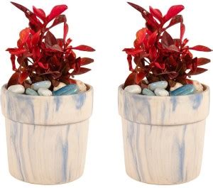 Lasaki Lyla Ceramic Pots for Indoor Plants, Planters,Flower pots,gamla ...
