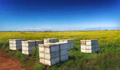 Elevation of Wakita, OK, USA - Topographic Map - Altitude Map