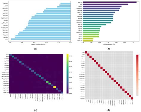DualStream-AttnXGS: An Attention-Enhanced Dual-Stream Model Based on ...