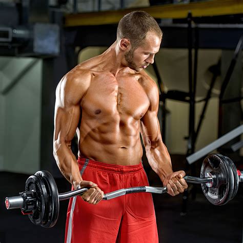 Buy Pexfix 47-Inch Strength Training Bar for Weight Lifting Hip Thrust ...