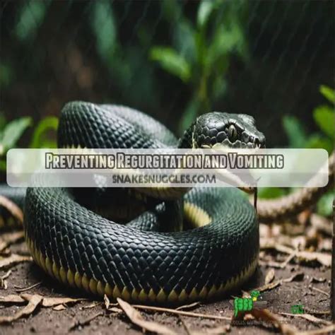 Regurgitates Python 的图像结果