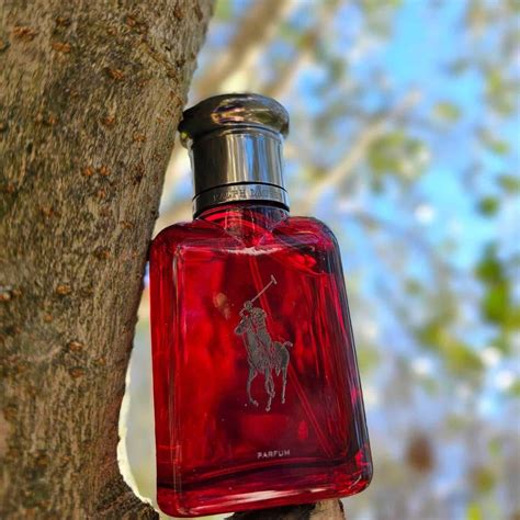 Ralph Lauren Polo Red Cologne Review
