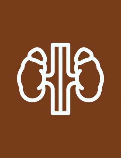 Buy Ayurvedic Medicine for Kidney Online – Vedikroots