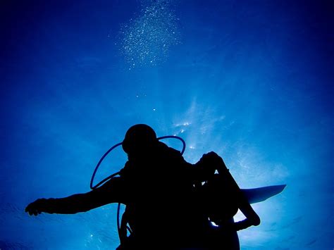 SHAMS DIVE CENTRE (2026) All You Need to Know BEFORE You Go (with ...