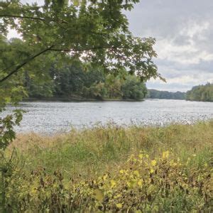 Learn About Invasive Plants, Merrimack Public Library, 17 May 2025 ...