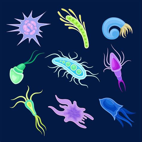 Plankton Afbeeldingen - Gratis downloaden op Freepik