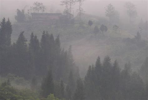 Environmental Pollution 的图像结果