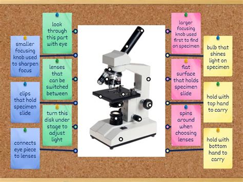 Image result for Function of Microscope