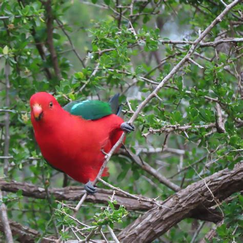 MIDDLE GORGE PARK (2026) All You Need to Know BEFORE You Go (with ...