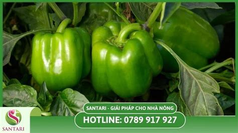 Image result for Restaurant Website Project Using HTML and CSS Simple Website