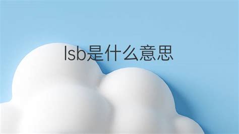 lsb是什么意思 lsb的翻译、中文解释 – 下午有课