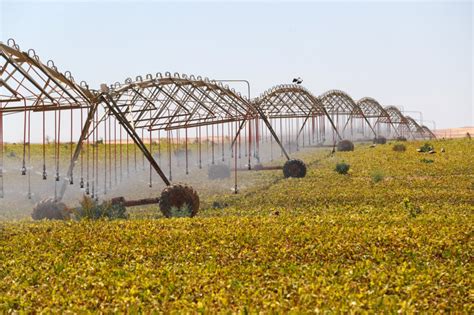 Photos Egypte : des oasis dans le désert de Minya grâce aux puits forés ...