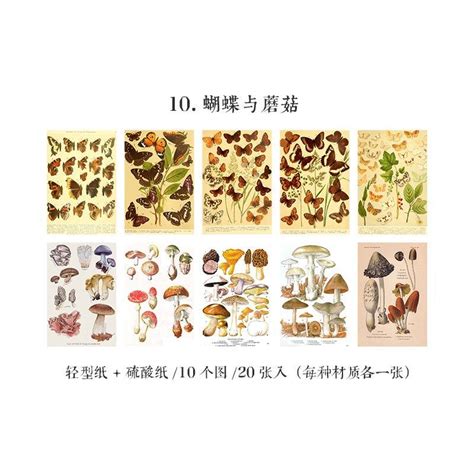 Vintage Traces old time Material Papers