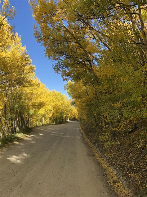 Boreas Pass is a must drive every fall : r/Colorado
