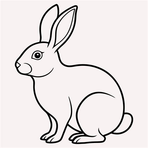 Outline Of Rabbit