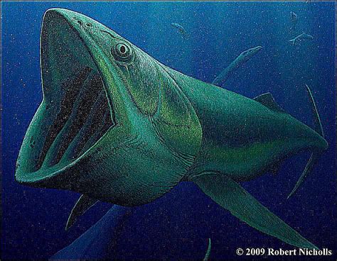 Image result for Fish Stink Meme