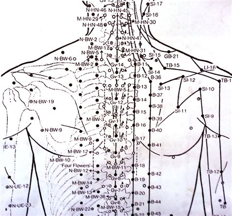 Acupuncture points in the upper back. My designs all started with this diagram as the base. (Ex ...