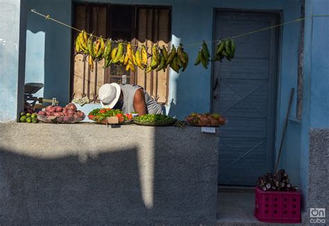 Sustainable Agriculture in Cuba: Interview with Margarita Fernandez, PhD (Part One) | OnCubaNews ...