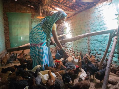 Latest Updates – Maharashtra Prabodhan Seva Mandal (MPSM)