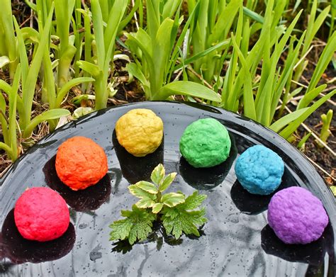 Twig and Toadstool: Plant A Rainbow