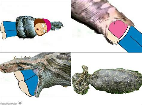 Image result for Kodak Python Snack