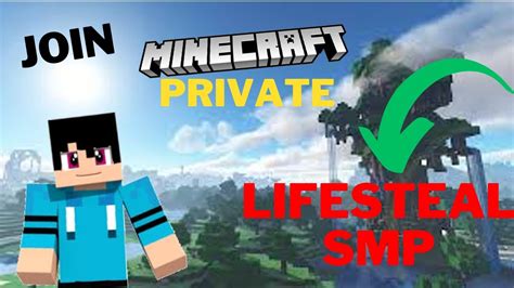 Joignable SMP Java 的图像结果