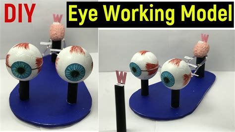 Image result for Science Eye Projects Tutorial