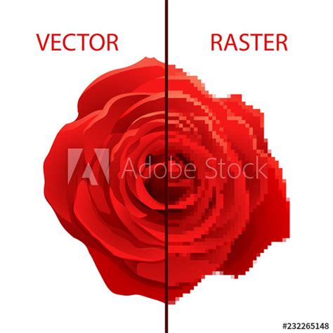 Digital Vector Image Example 的图像结果