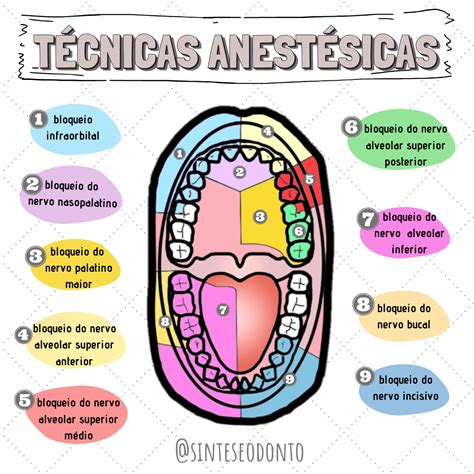 Resumos de Odontologia on Instagram: " Resuminho das principais ...