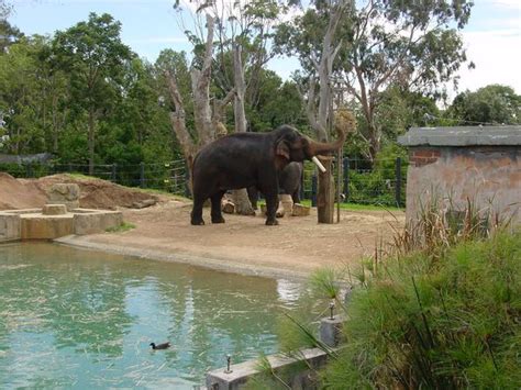 ZooLex Image - Enclosure one with pool