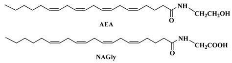 Synthesis of Lipoamino Acids and Their Activity against Cerebral ...